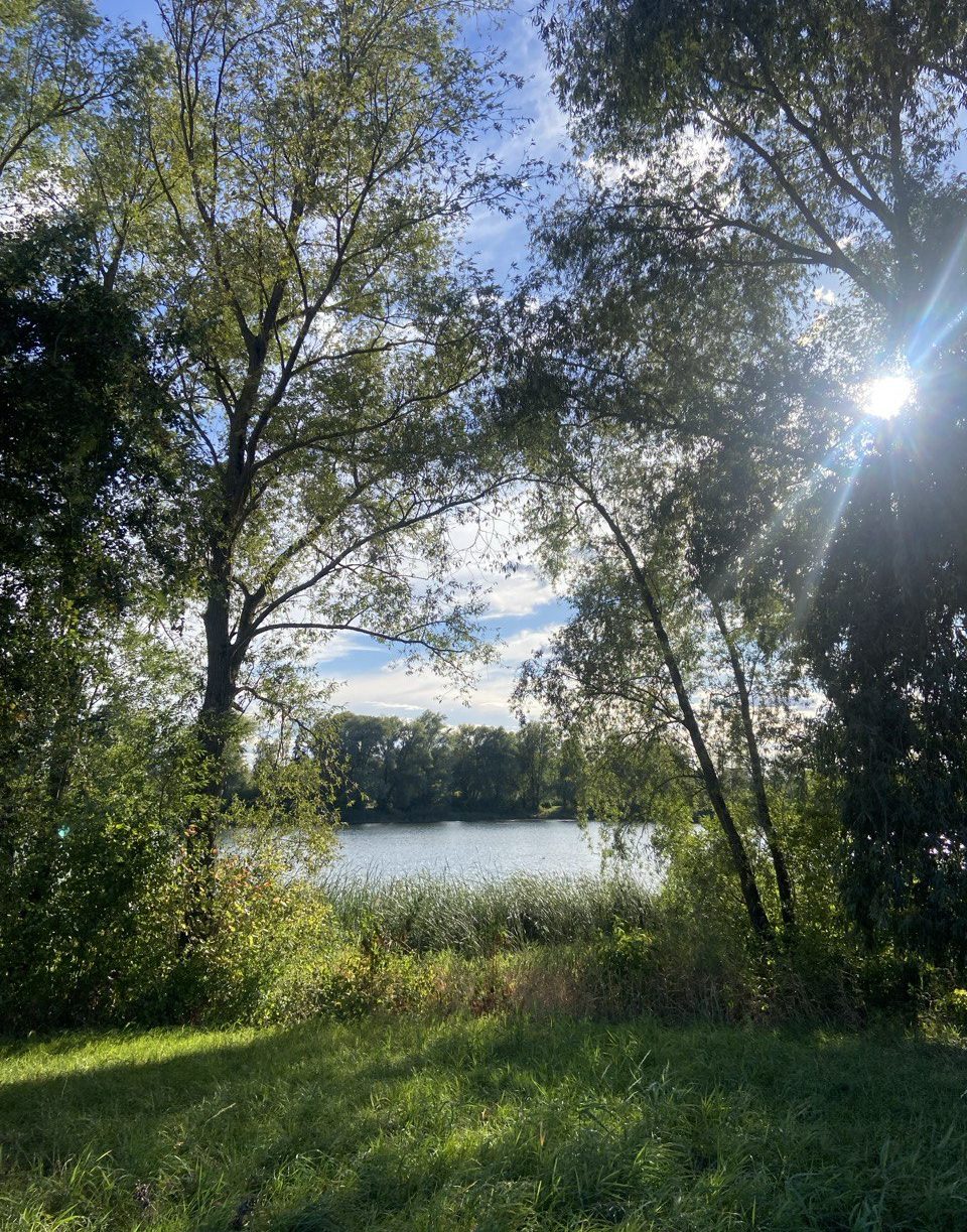 Grüne Glücksmomente: Seelen-Coaching und emotionale Prozessbegleitung in der Natur bei Einbeck und Northeim