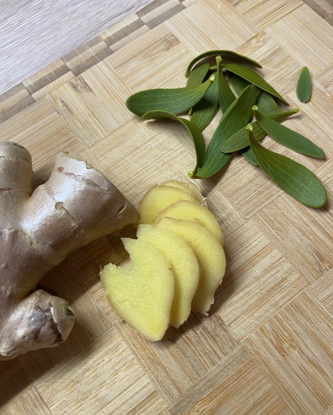 Kräuterwissen hautnah in Einbeck und Northeim, Niedersachsen 