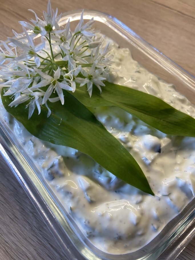 Kräuterwissen hautnah in Einbeck und Northeim, Niedersachsen 