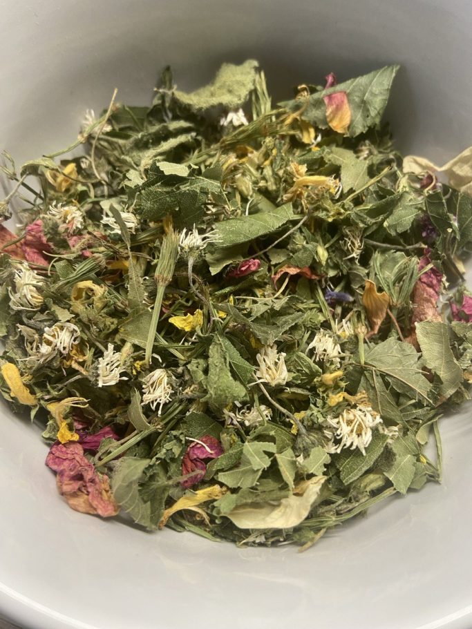 Kräuterwissen hautnah in Einbeck und Northeim, Niedersachsen