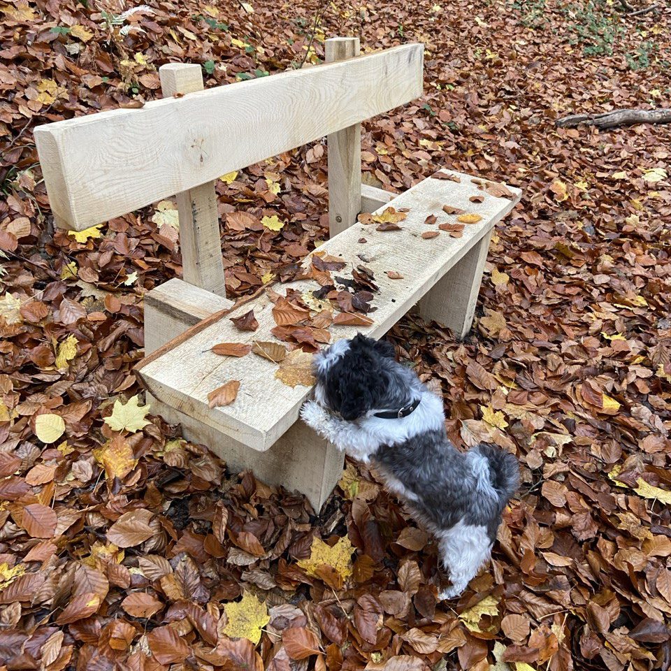Naturerlebnis und Kräuterwissen in der Umgebung von Einbeck und Northeim, Nidersachsen