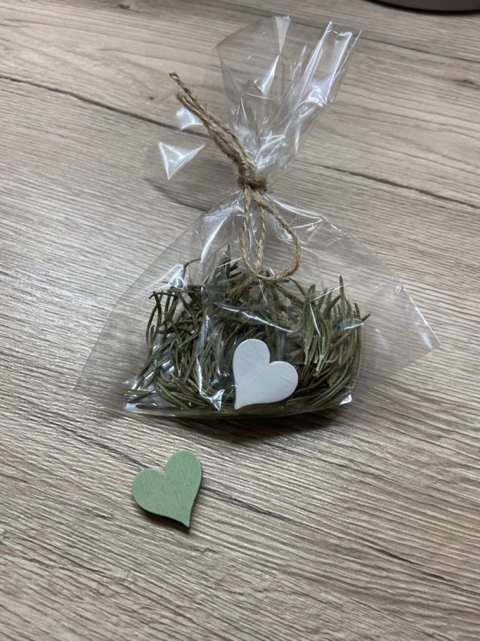 Kräuterwissen hautnah in Einbeck und Northeim, Niedersachsen