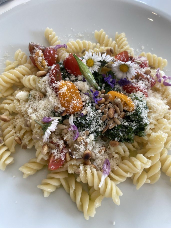 Kräuterwissen hautnah in Einbeck und Northeim, Niedersachsen