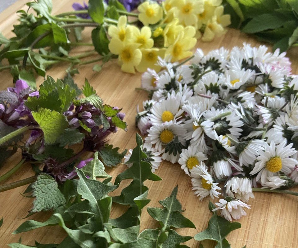 Gruppenangebot: Ein wildes Kräuterabenteuer mit Freunden, Kollegen oder Familie in Einbeck und Northeim, Niedersachsen