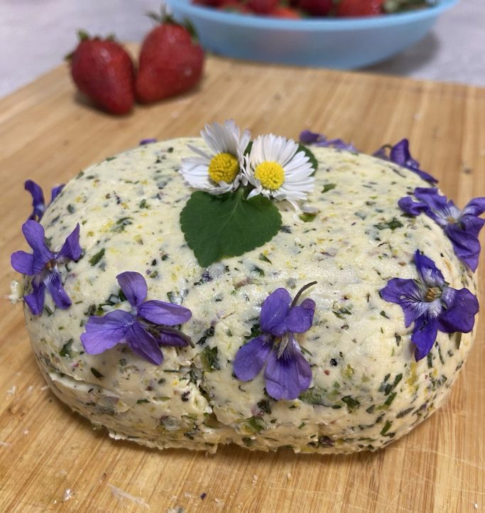 Kräuterwissen hautnah in Einbeck und Northeim, Niedersachsen