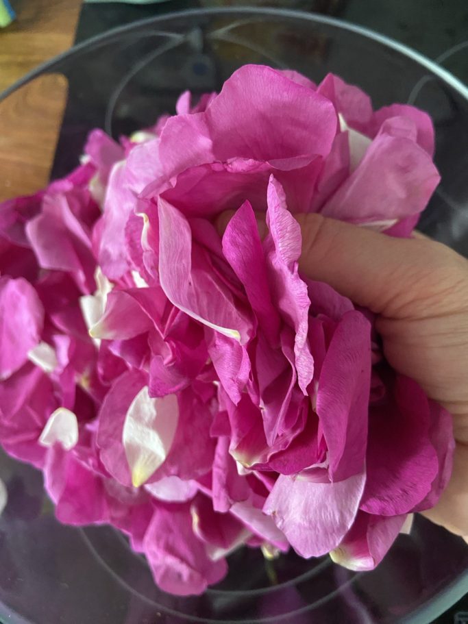 Kräuterwissen hautnah in Einbeck und Northeim, Niedersachsen