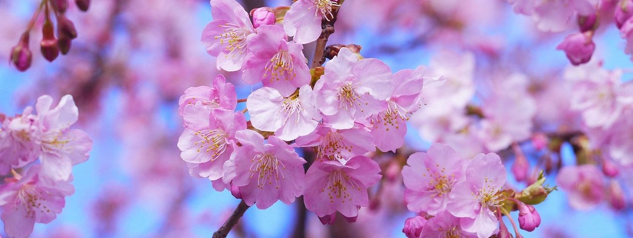 Glücksinsel – Raum für Selbstfürsorge, Auszeit, Glücksgefühle und persönliche Entfaltung in Einbeck und Northeim, Niedersachsen