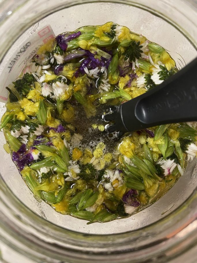 Kräuterwissen hautnah in Einbeck und Northeim, Niedersachsen